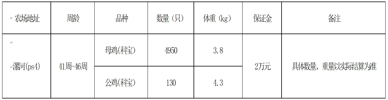 禽业事业部淘汰鸡.jpg